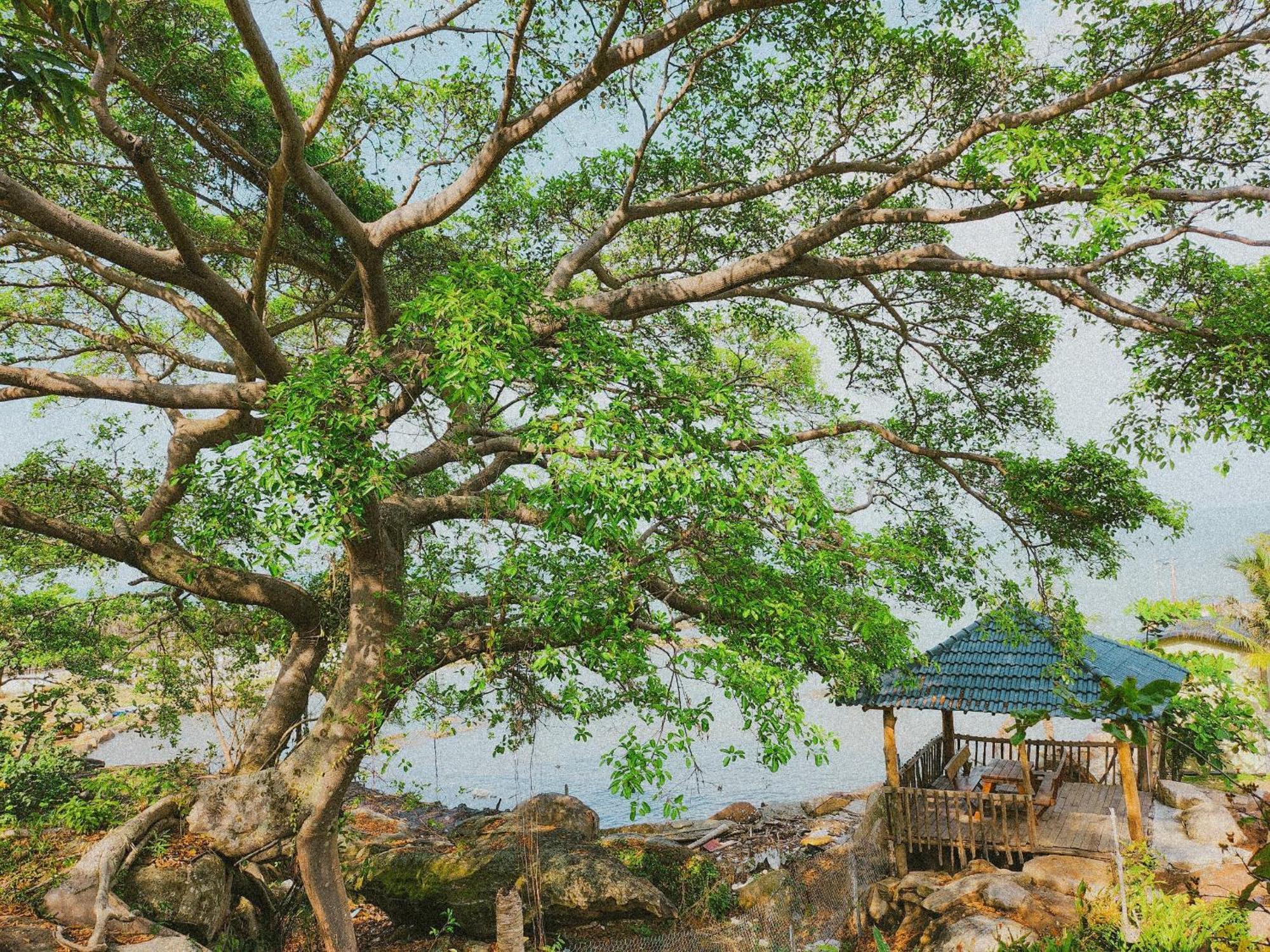 Voyage Phu Quoc Beach Resort المظهر الخارجي الصورة